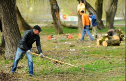 фото из открытых источников